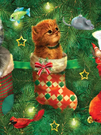 Produit Chausettes Pleines de Chatons Image