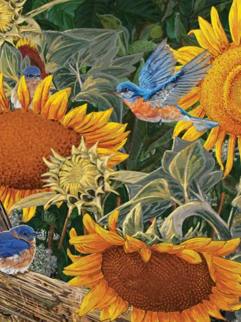 Produit Pièces XXL - Parterre de Tournesols Image