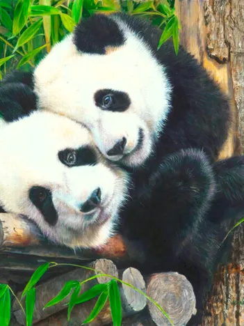 Produit Pièces XXL - Copains dans le Bambou Image