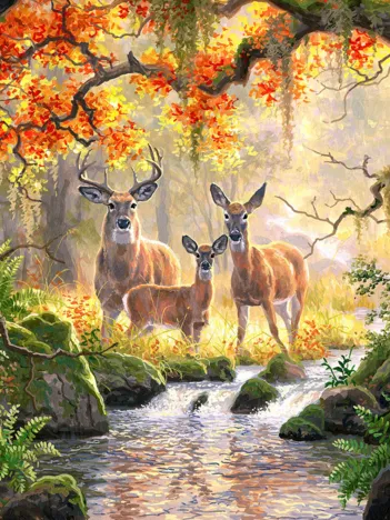 Produit Famille Royale Image