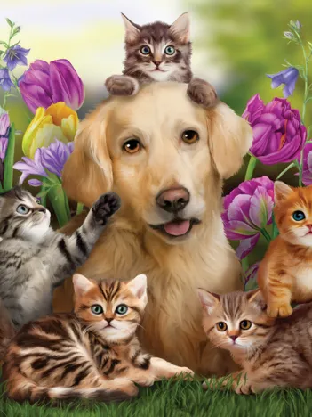 Produit Pièces XXL - KItty Sitting Image