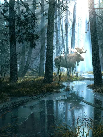 Produit Pièces XXL - Pris Par La Lumière Image