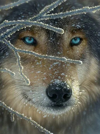 Produit Pièces XXL - Fire Within Ice Image