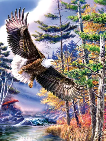 Produit Pièces XXL - Boundary Water Image