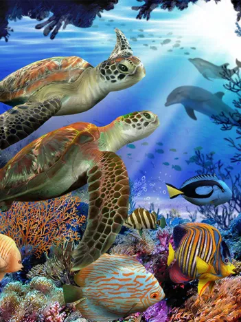 Produit Pièces XXL - Underwater Fantasy Image