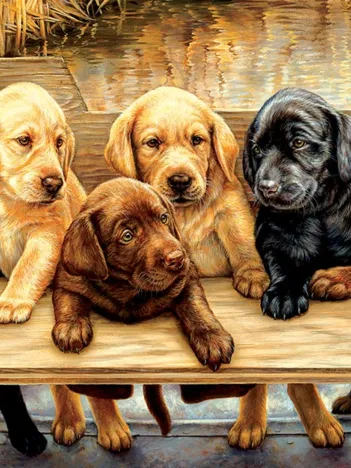 Produit Pièces XXL - All Hands on Deck Image