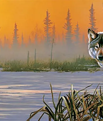 Produit Pièces XXL - Winter Sunrise Image