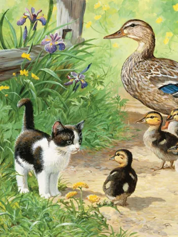 Produit Pièces XXL - Duck Inspector Image