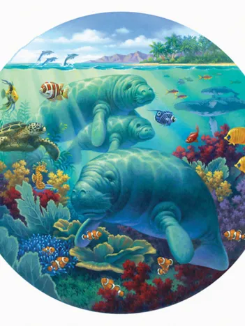 Produit Pièces XXL - Manatee Beach Image