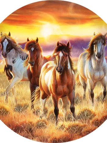 Produit Pièces XXL - Running in the Sun Image