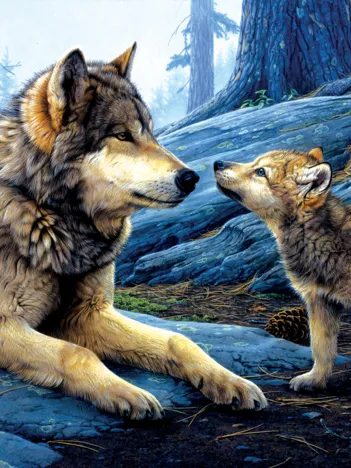 Produit Daniel Smith - Brother Wolf Image