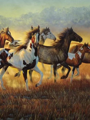 Produit Cynthia Fisher - Running with the Wind Image