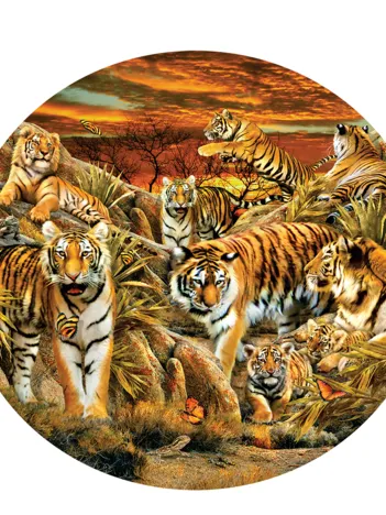 Produit Pièces XXL - Lori Schory - Tigres partout Image