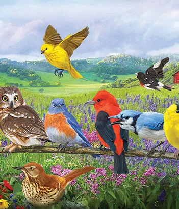 Produit Pièces XXL - Oiseaux de l'Est Image