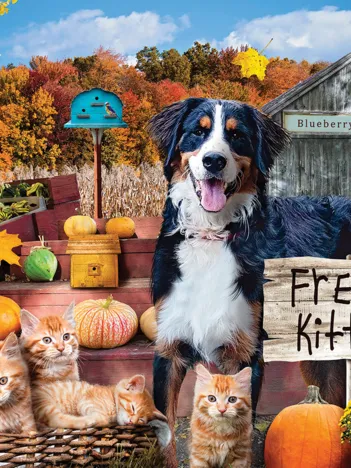 Produit Pièces XXL - Blueberry Hollow Farm Image