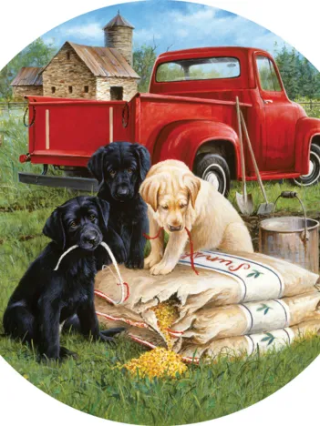 Produit Grain de Malice Image