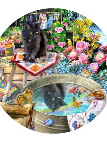 Produit Reflets de Chaton Image