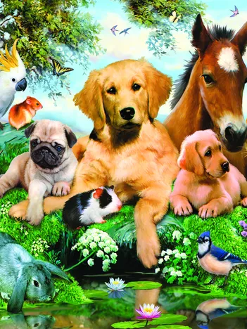 Produit Pièces XXL - Les Amis de l'Été Image