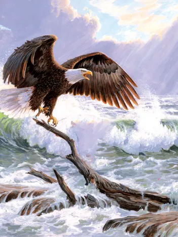 Produit Pièces XXL - Mer Majestueuse Image