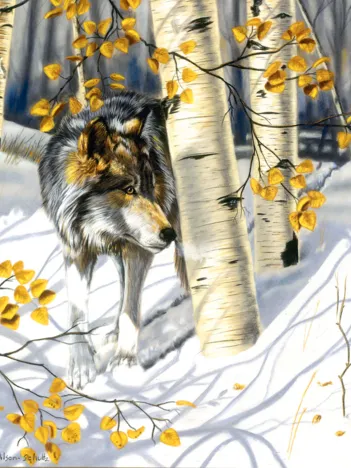 Produit Pièces XXL - Dans l'Ombre Image