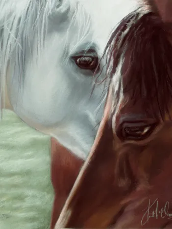 Produit Pièces XXL - Attraction Image