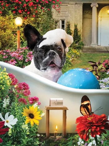 Produit Bain Moussant dans le Jardin Image