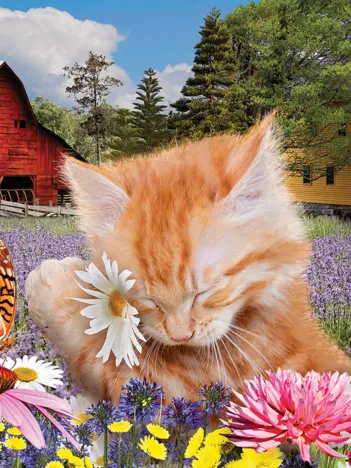 Produit J'adore les Fleurs Image