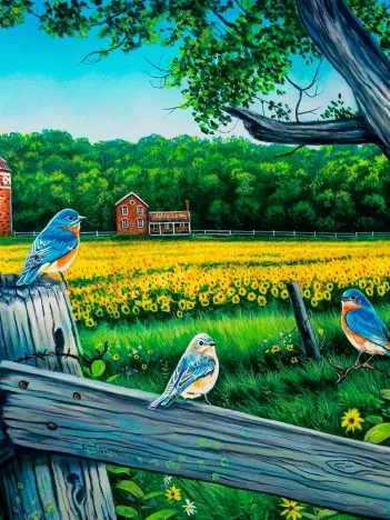 Produit Le Blues De La Vallée Du Tournesol Image