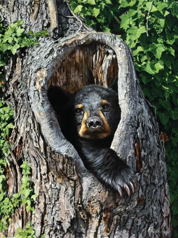 Produit Trou De Casier Image