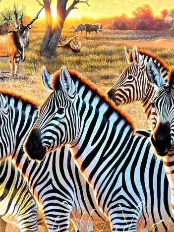 Produit Pièces XXL - Zèbres Et Amis Image