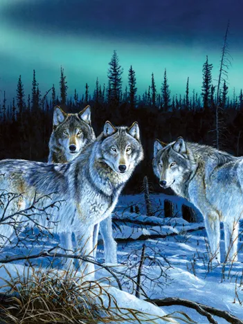 Produit Des McCaffrey - Hunter's Light Image