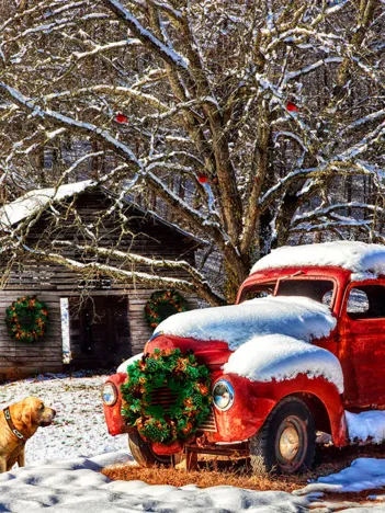 Produit Réveillon Nostalgique Image