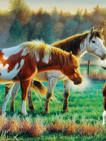 Produit Pâturage en Famille Image