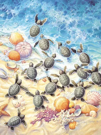 Produit Sherry Vintson - Green Turtle Hatchlings Image