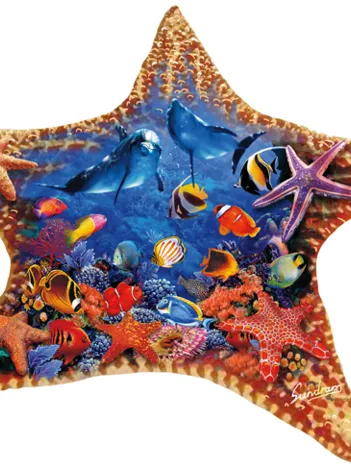 Produit Steve Sundram - Starfish Image
