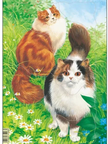 Produit Puzzle Cadre - Chats Image