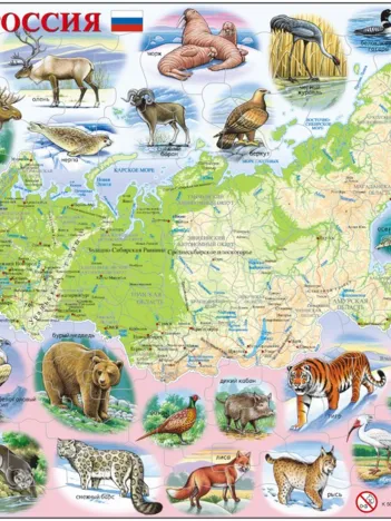 Produit Puzzle Cadre - Carte de la Russie et ses Animaux (en Russe) Image