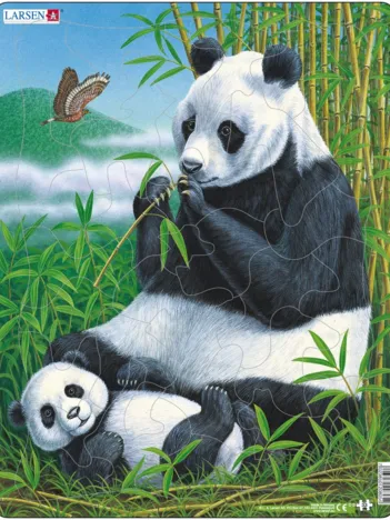 Produit Puzzle Cadre - Panda Image