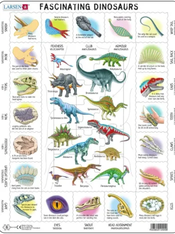 Produit Puzzle Cadre - Dinosaures (en anglais) Image