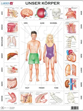 Produit Puzzle Cadre - Le Corps Humain (En allemand) Image