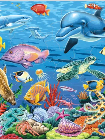 Produit Puzzle Cadre - Animaux et Récifs de Coraux Image