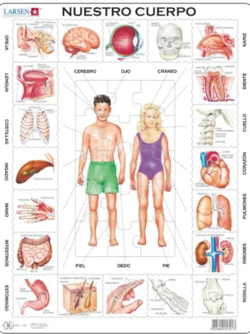 Produit Puzzle Cadre - Nuestro Cuerpo (en Espagnol) Image