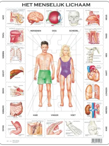Produit Puzzle Cadre - Het Menselijk Lichaam (en Hollandais) Image