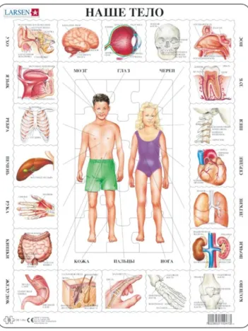 Produit Puzzle Cadre - Notre Corps (en Russe) Image