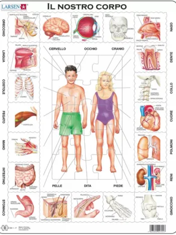 Produit Puzzle Cadre - Il Nostro Corpo (en italien) Image