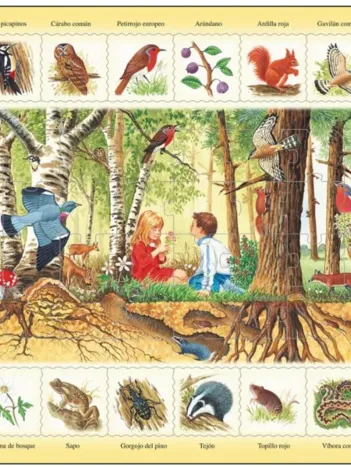Produit Puzzle Cadre - Puzzle Nature - Forêt (Espagnol) Image
