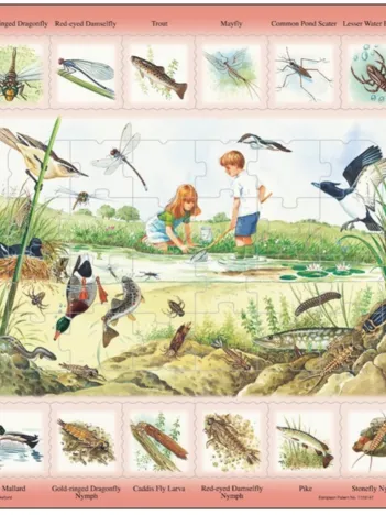Produit Puzzle Cadre - Apprendre l'Anglais : L'Etang (en Anglais) Image