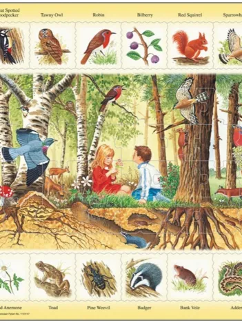 Produit Puzzle Cadre - Apprendre l'Anglais : En Forêt (en Anglais) Image