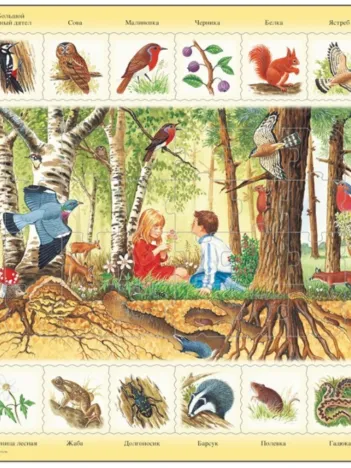 Produit Puzzle Cadre - La Forêt (en Russe) Image