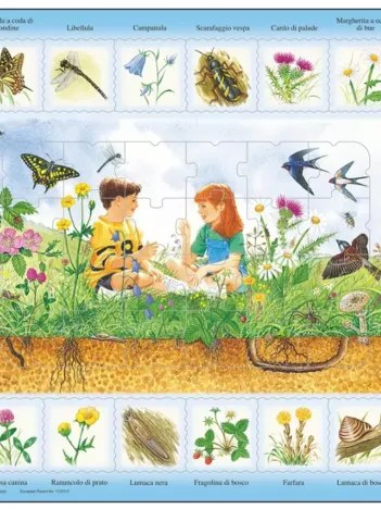 Produit Puzzle Cadre - Farfalla a coda di rondine Image